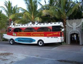 Parrots of the Caribbean